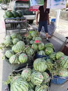 咸阳网红吃瓜事件,揭秘网络舆论的风云变幻